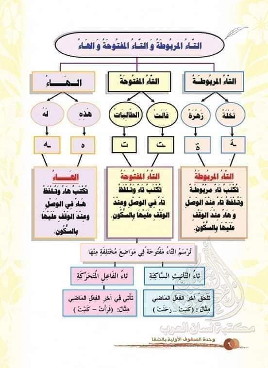 MzExOTIzMQ114 بالصور شرح درس التاء المربوطة و المبسوطة و الهاء للصف الثامن الفصل الاول 2020